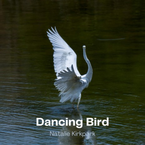 Dancing Bird | Boomplay Music