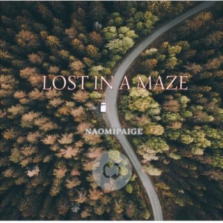 Lost In A Maze