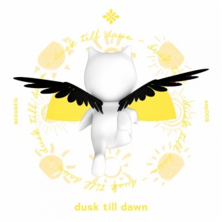 dusk till dawn - acoustic