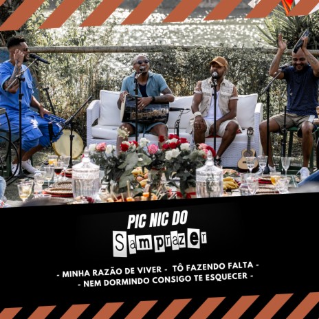 Pic Nic do Samprazer: Minha Razão de Viver / Tô Fazendo Falta / Nem Dormindo | Boomplay Music