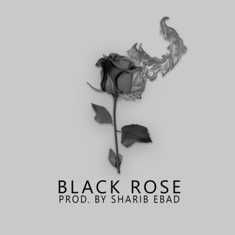 Black Rose | Boomplay Music