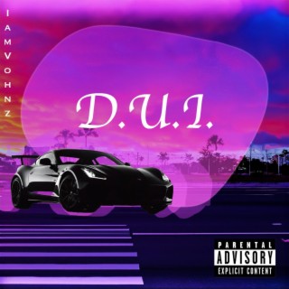 D.U.I. lyrics | Boomplay Music