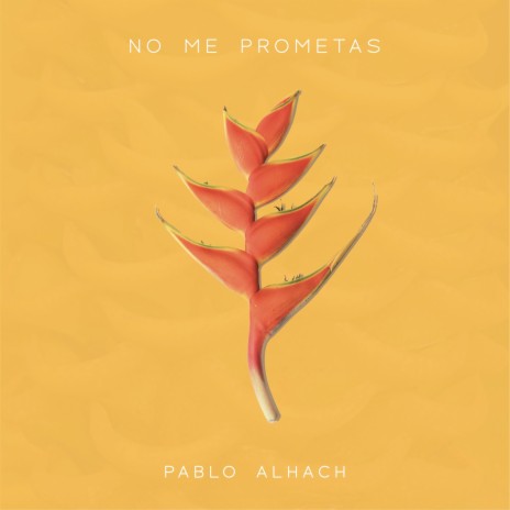 No Me Prometas