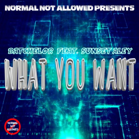 What You Want (feat. Sunset Aley) | Boomplay Music