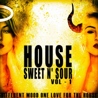 House Sweet N' Sour, Vol. 1