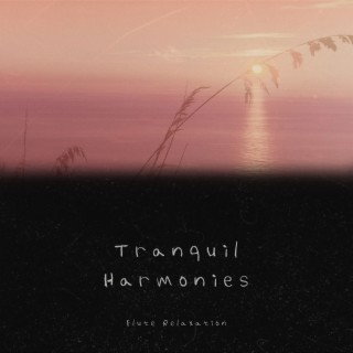 Tranquil Harmonies: a Journey into the Calmness Evoked by Piano & Flute Music