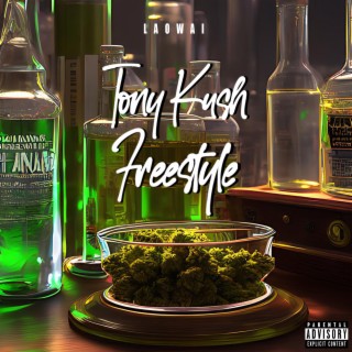 TonyKush Freestyle lyrics | Boomplay Music