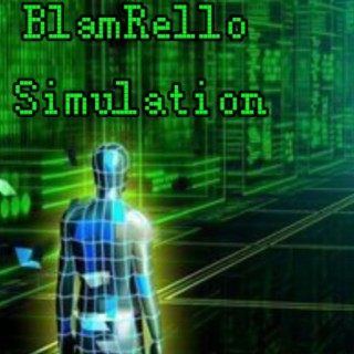 Simulation