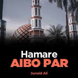 Hamare Aibo Par