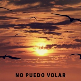 No puedo volar