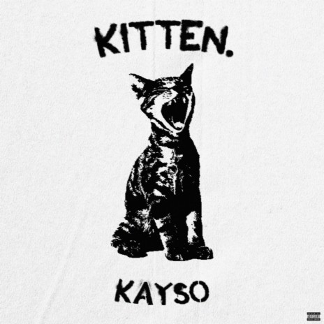 Kitten | Boomplay Music