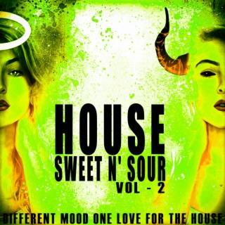 House Sweet N' Sour, Vol. 2