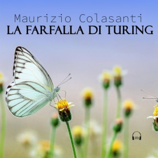 La farfalla di Turing