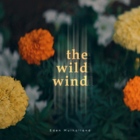 The Wild Wind | Boomplay Music