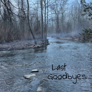 Last Goodbyes