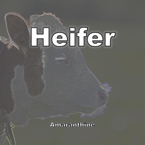 Heifer | Boomplay Music