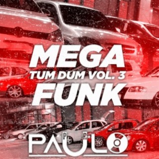 MEGA FUNK TUM DUM VOL. 3 - 2021