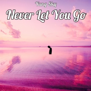 Never Let You Go