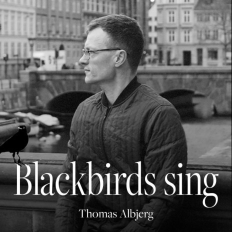 Blackbirds sing