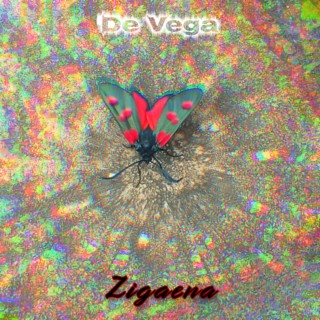 Zigaena