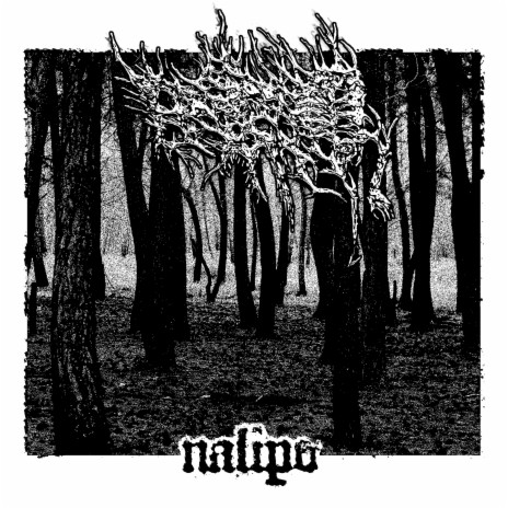 Nalipo | Boomplay Music