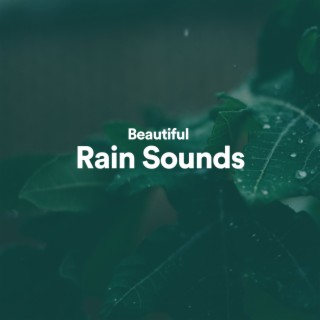 Beautiful Rain Sounds