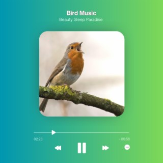 Bird Music