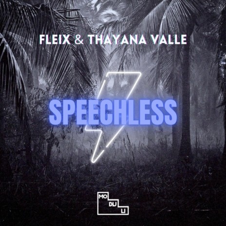 Speechless ft. Fleix | Boomplay Music