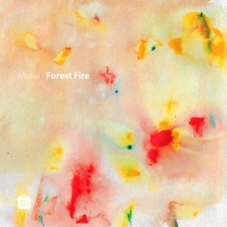 Forest Fire