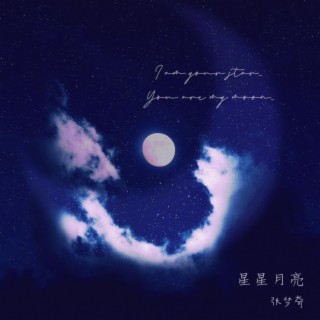 星星月亮 lyrics | Boomplay Music