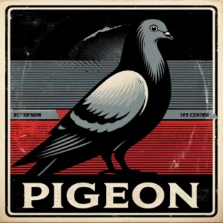 Pigeon lyrics | Boomplay Music