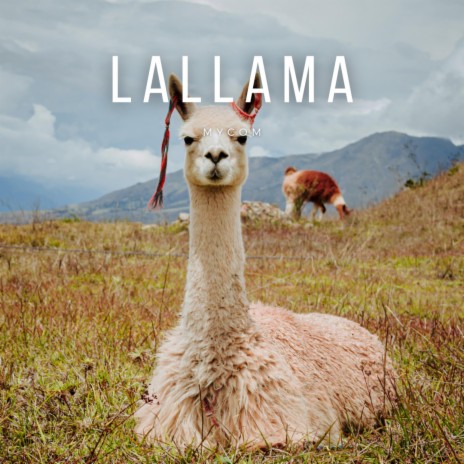 Lallama | Boomplay Music