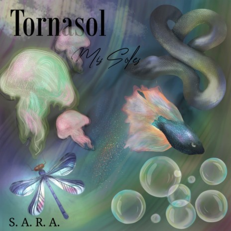 Tornasol | Boomplay Music