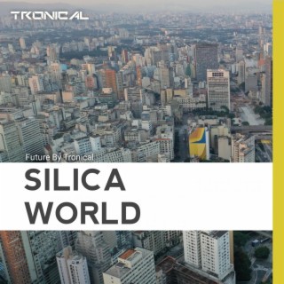 Silica World