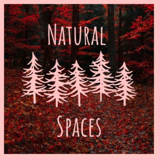 Natural Spaces