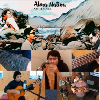 Alma Nativa