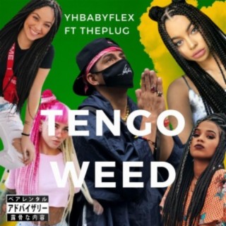 Tengo Weed (con Theplug)