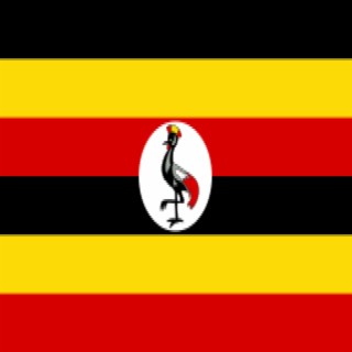 Bobi Wine (Studio composition)