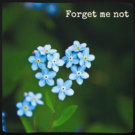 Forget me not | Boomplay Music