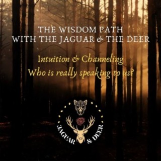 Intuition, Channeling, Who is really speaking to us? - The Wisdom Path (The Jaguar & The Deer) - Episode 3