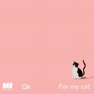 For My Cat