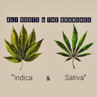 Indica & Sativa lyrics | Boomplay Music