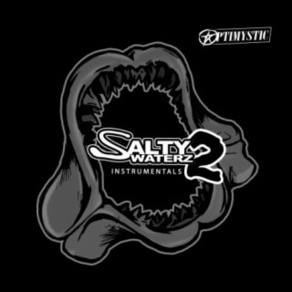 Salty Waterz 2 Instrumentals