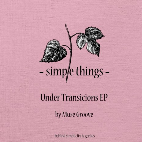 Under Transicions | Boomplay Music