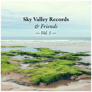 Sky Valley Records & Friends, Vol.1