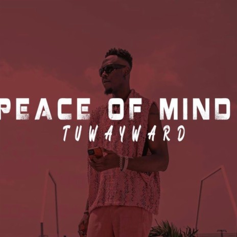 Peace of Mind (P.O.M) | Boomplay Music