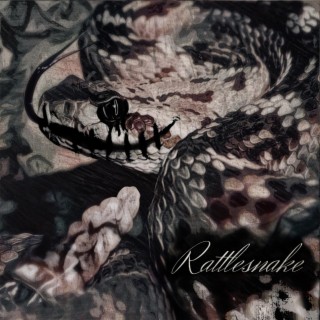 Rattlesnake