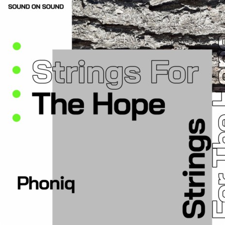 Strings For The Hope (Original Mix)