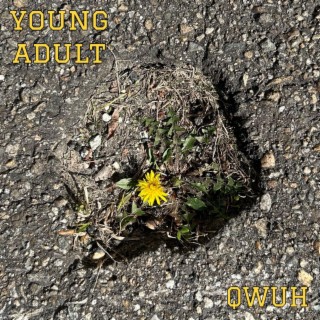 Young Adult