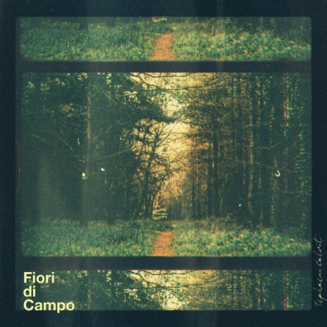 Fiori di Campo | Boomplay Music